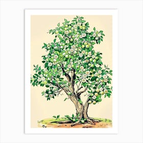 Lime Tree Storybook Illustration 2 Art Print