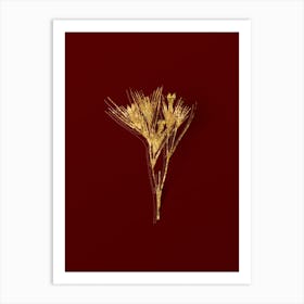 Vintage Witsenia Maura Botanical in Gold on Red n.0178 Art Print