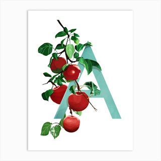 A Apple Art Print