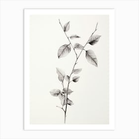 Vintage Leaf Sketch Art Print