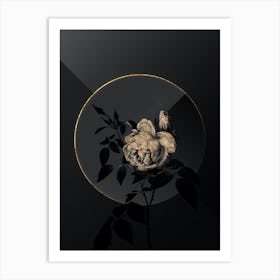 Shadowy Vintage Fragrant Rosebush Botanical in Black and Gold n.0118 Art Print