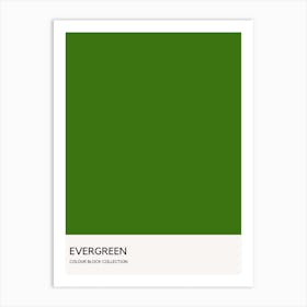 Evergreen Colour Block Poster Art Print
