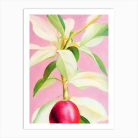 Mangosteen Painting Fruit Art Print