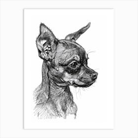 Miniature Pinscher Dog Line Sketch 4 Art Print