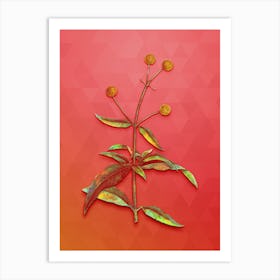 Vintage Orange Ball Tree Botanical Art on Fiery Red n.0094 Art Print