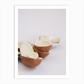 Chocolate Egg Shells Art Print