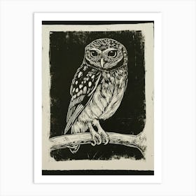 Northern Pygmy Owl Linocut Blockprint 1 Art Print
