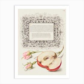 French Rose And Apple From Mira Calligraphiae Monumenta, Joris Hoefnagel Art Print