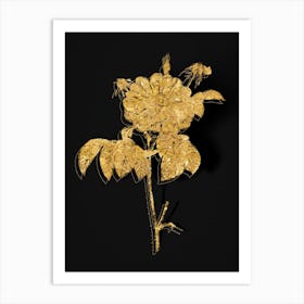 Vintage Speckled Provins Rose Botanical in Gold on Black n.0591 Art Print