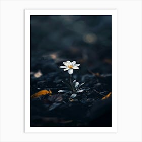 White Flower In The Dark 32 Art Print