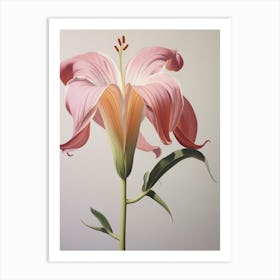 Floral Illustration Gloriosa Lily 1 Art Print