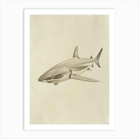 White Tip Reef Shark Vintage Illustration 4 Art Print