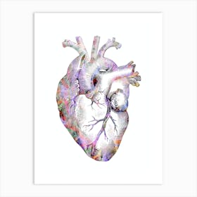 Heart Anatomy Colorful Vintage Black And White 1 Art Print