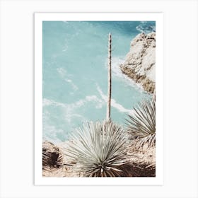 Agave Near Ocean Art Print