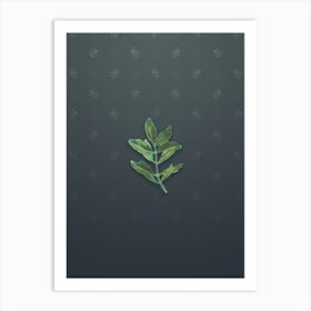 Vintage Buxus Colchica Twig Botanical on Slate Gray Pattern n.0203 Art Print