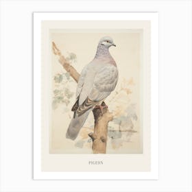 Vintage Bird Drawing Pigeon 1 Poster Art Print