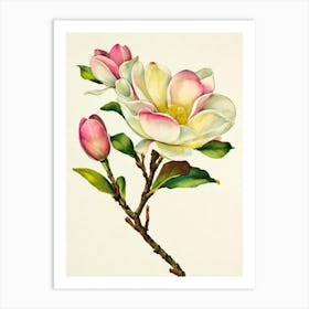 Magnolia Vintage Flowers Flower Art Print