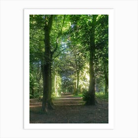 Path Through The Woods Art Print