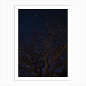 Bare Tree At Night Art Print