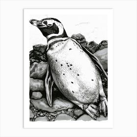 King Penguin Sunbathing On Rocks 3 Art Print