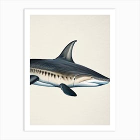 Greenland Shark Vintage Art Print