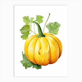 Delicata Squash Pumpkin Watercolour Illustration 4 Art Print