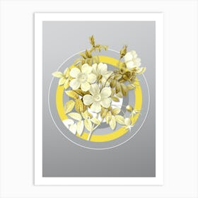Botanical White Candolle Rose in Yellow and Gray Gradient n.078 Art Print