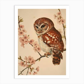 Northern Pygmy Owl Vintage Illustration 2 Art Print