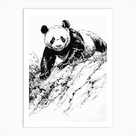 Giant Panda Cub Sliding Down A Hill Ink Illustration 3 Art Print