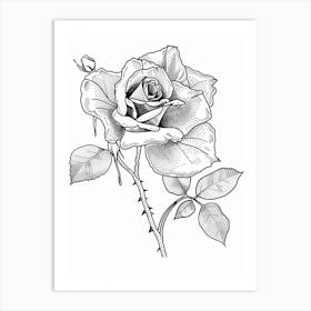 Rose Line Drawing 1 Art Print