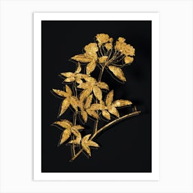 Vintage Lady Bank's Rose Botanical in Gold on Black n.0271 Art Print