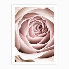 Pink Rose Petal Bright_2066827 Art Print