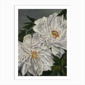 White peonies, acrylic Art Print