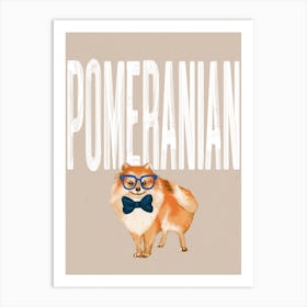 Pomeranian Dog Art Print