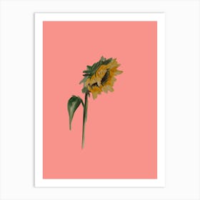 Sunflower Art Print