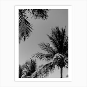 Tropical Palm Trees In Black And White Art Print