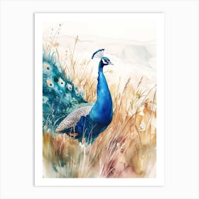 Watercolour Peacock Walking Through The Grass Art Print