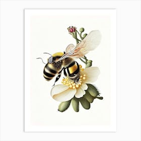Pollinator Bee 7 Vintage Art Print