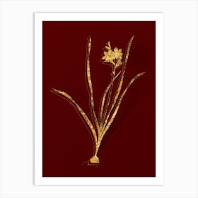 Vintage Gladiolus Lineatus Botanical in Gold on Red n.0593 Art Print