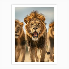 Lions Art Print