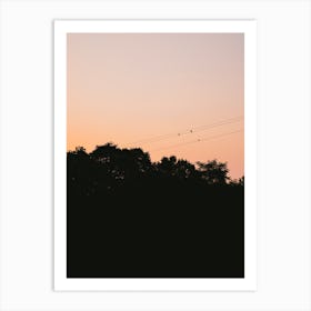 Birds Enjoying Orange Sunset Art Print