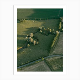 Aerial View Of A Field | Landscape and travel photography Art Print