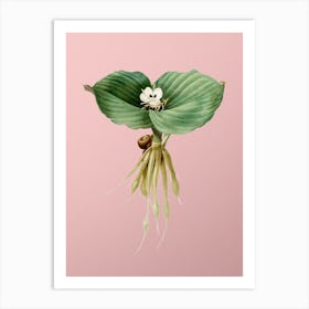 Vintage Sand Ginger Botanical on Soft Pink Art Print