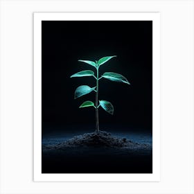 Young Plant Sprouting On Black Background Art Print