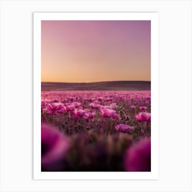 Poppy Field At Sunset Art Print