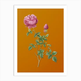 Vintage Pink Autumn China Rose Botanical on Sunset Orange n.0743 Art Print