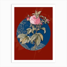 Vintage Botanical Pink Agatha Rose on Circle Blue on Red n.0103 Art Print