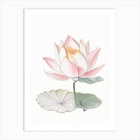 Lotus Flower In Garden Pencil Illustration 1 Art Print