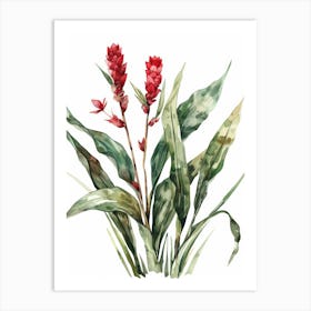 Watercolor Of Red Flowers Art Print