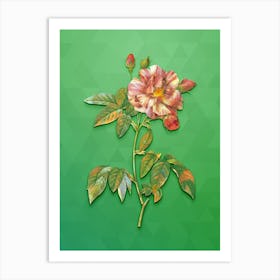 Vintage Variegated French Rosebush Botanical Art on Classic Green Art Print